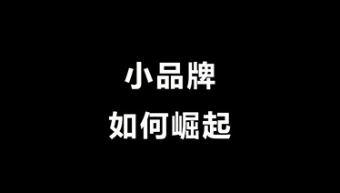 小品牌崛起的时代，为什么你站在风口却没有起飞？
