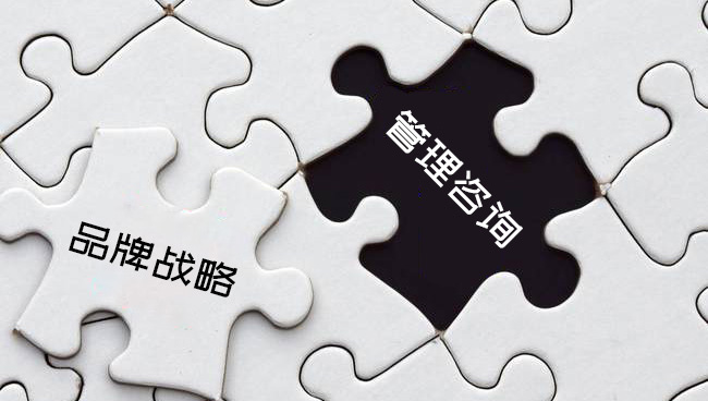 品牌战略要做在管理咨询之前