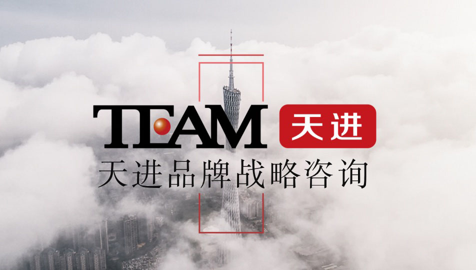 企业战略咨询机构，就选天进！