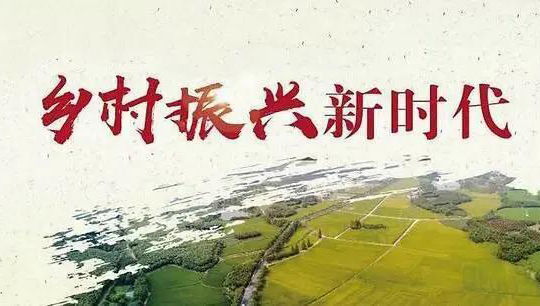 天进品牌管理：为什么是乡村振兴而不是三农呢？
